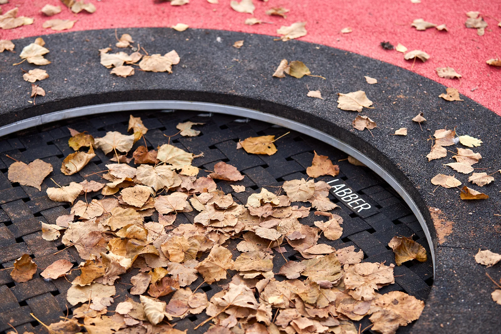 Budogoshch Public Space