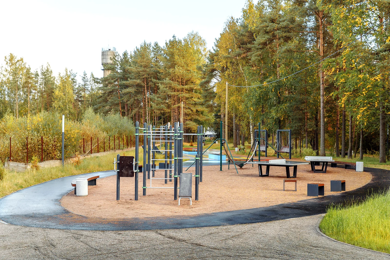 Budogoshch Park Improvement