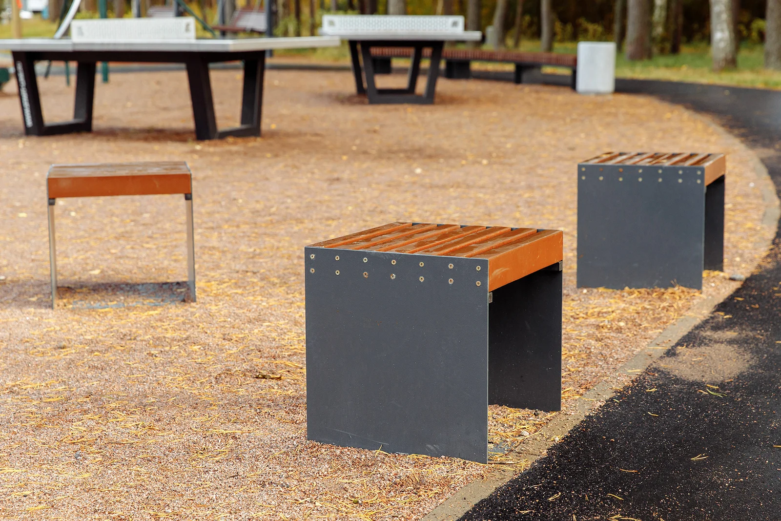 Budogoshch Park Improvement