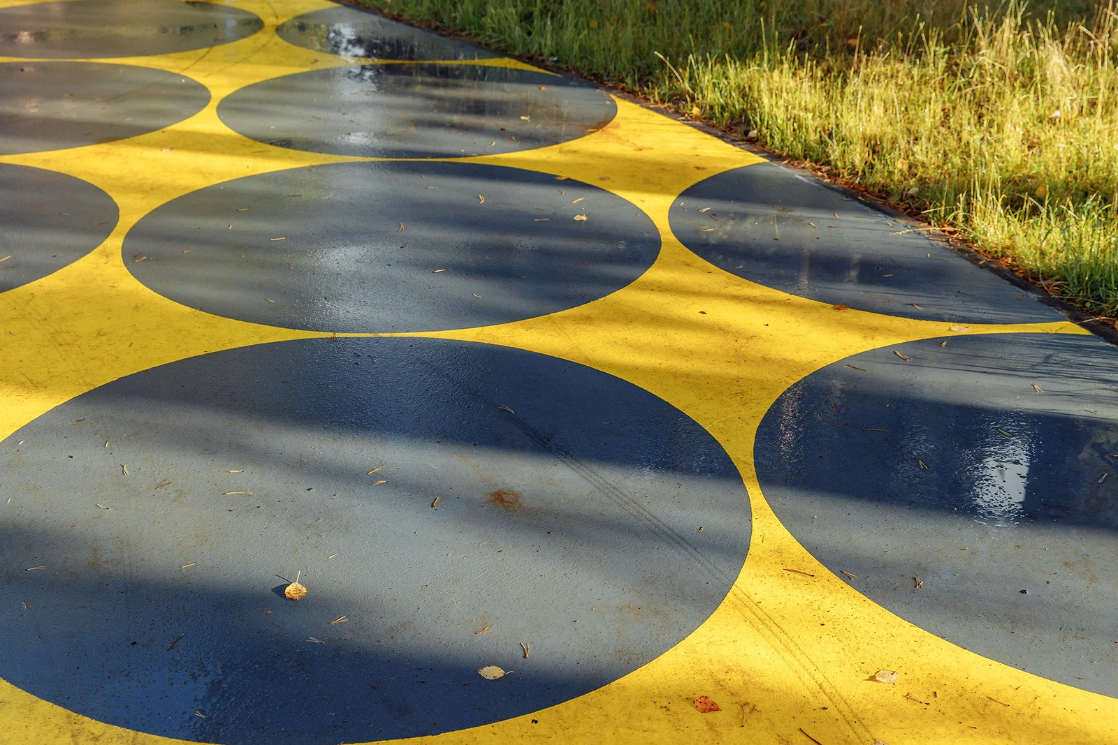 Budogoshch Park Improvement