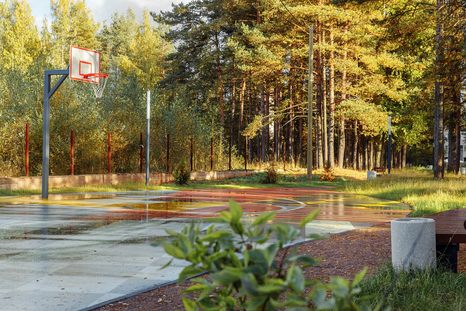 Budogoshch Park Improvement