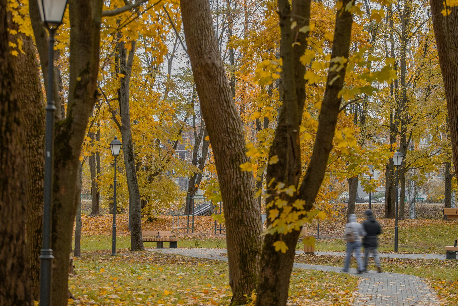 Shlisselburg Park Improvement