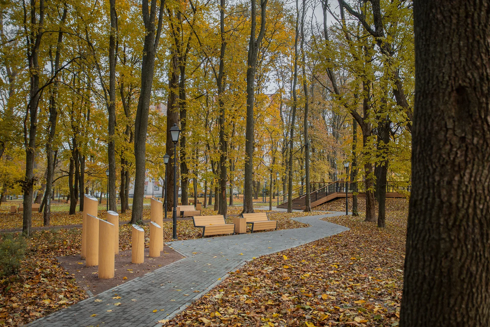 Shlisselburg Park Improvement