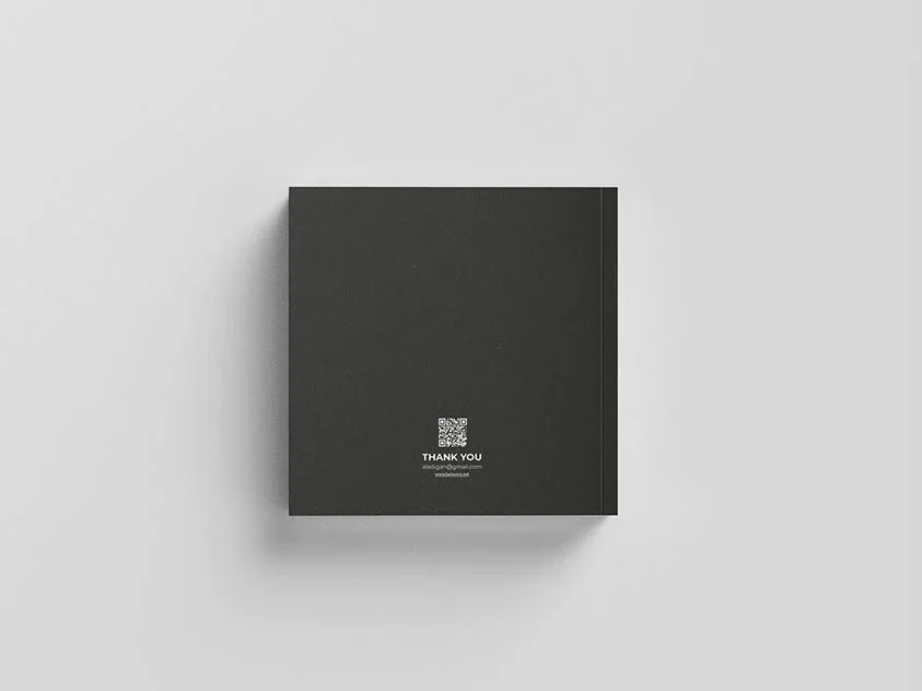 Professional Portfolio